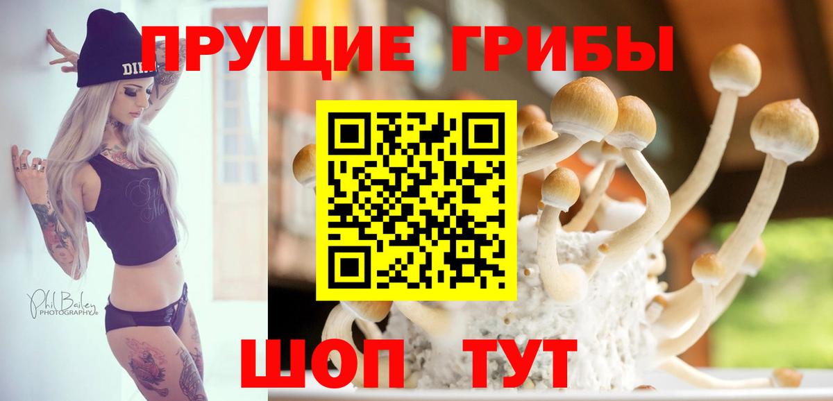 Псилоцибиновые грибы Psilocybine cubensis Первоуральск